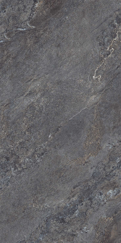 FOSSIL NERO